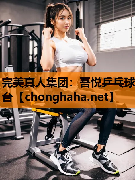 吾悦乒乓球台 吾悦乒乓球台